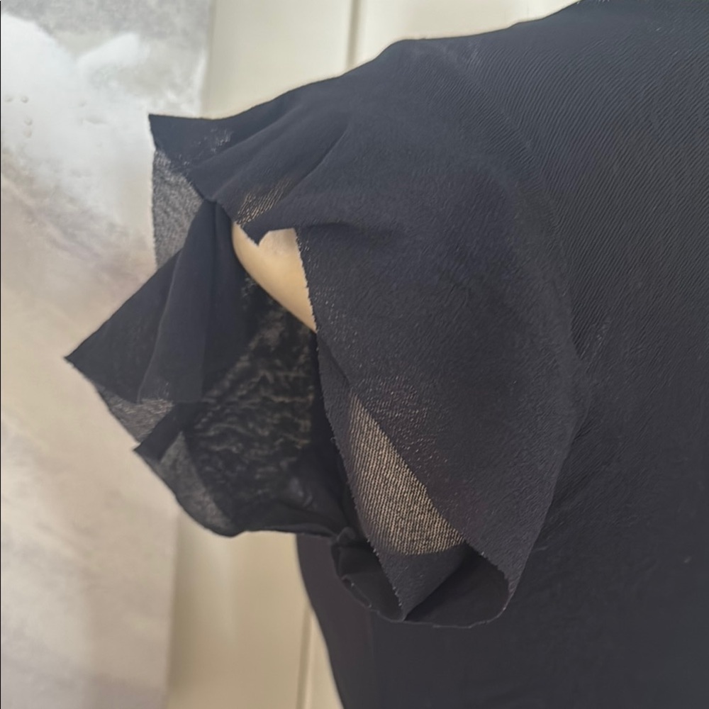 Fitted Black Cap Sleeve mesh top with Ruffled Details - Picture 4 of 8